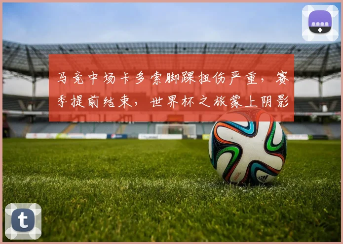 马竞中场卡多索脚踝扭伤严重，赛季提前结束，世界杯之旅蒙上阴影