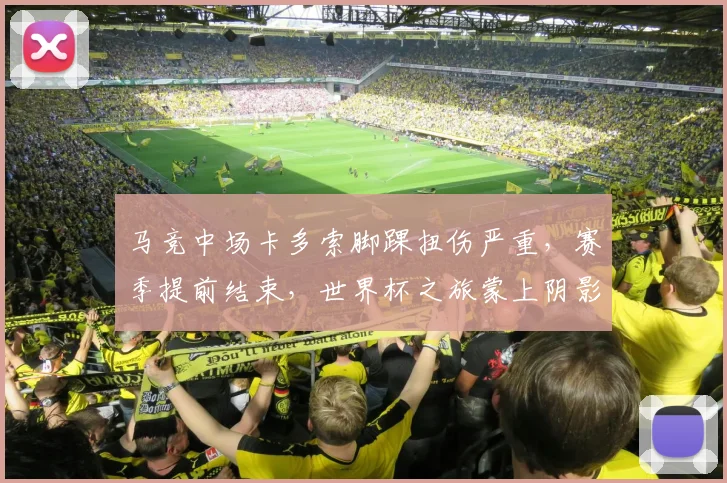 马竞中场卡多索脚踝扭伤严重，赛季提前结束，世界杯之旅蒙上阴影